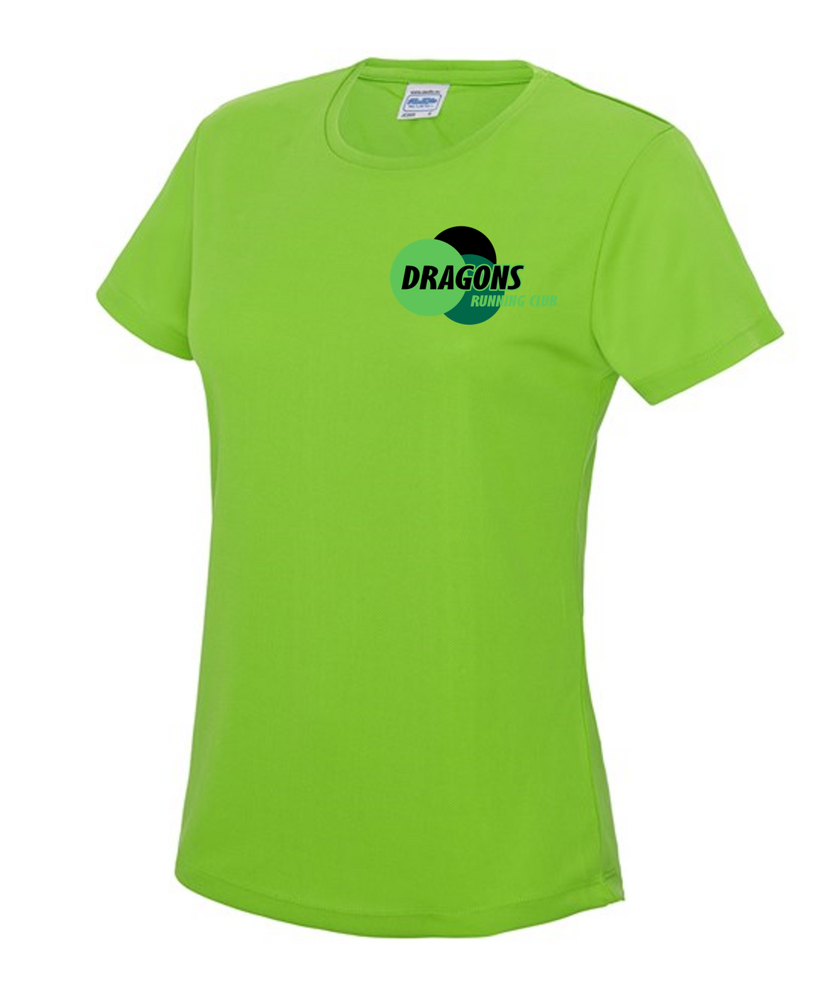Dragons Womens T-Shirt