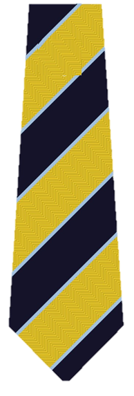 Guiseley School Clip on Tie (All Years)