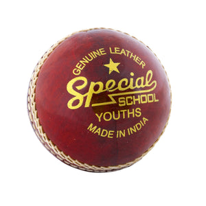 Readers Special School Cricket Ball