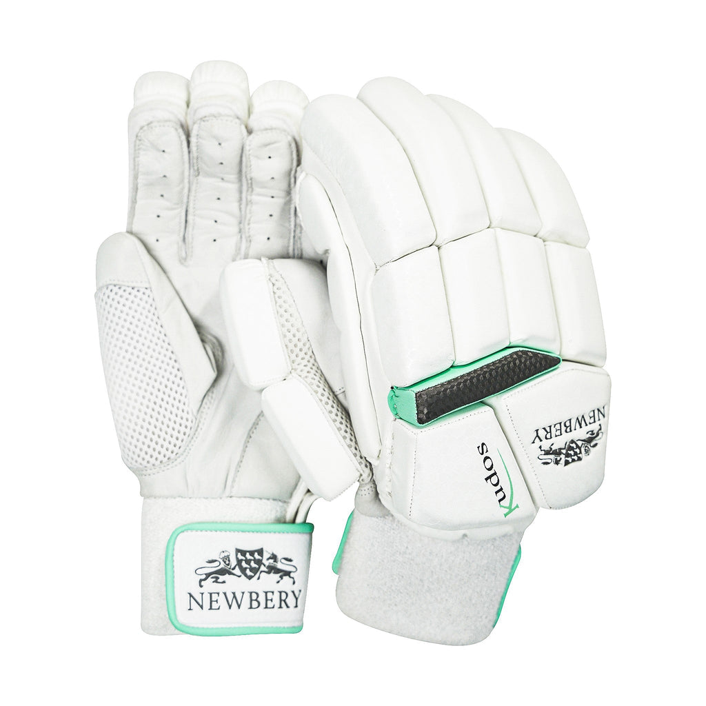 Newbery Kudos Batting Gloves