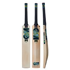 GM Aion 606 Cricket Bat