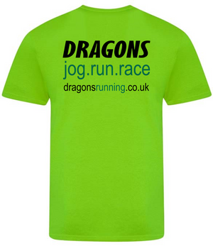 Dragons Womens T-Shirt