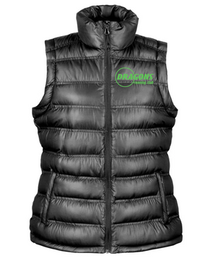 Dragons Ice Bird Padded Women's Gilet