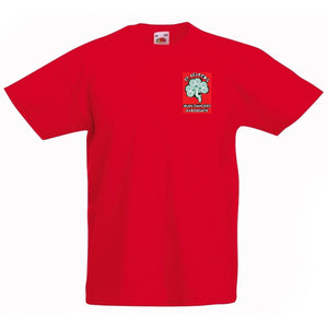 St Aelred Ladies T-shirt