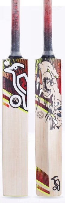 Kookaburra Beast 9.1 Junior Kashmir Willow Cricket Bat 2023